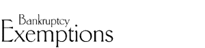 what are bankruptcy exemptions